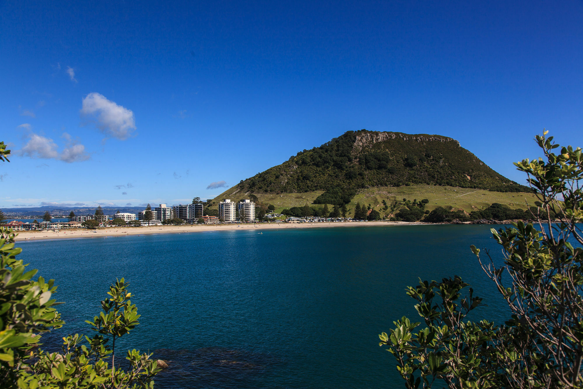 Seascape Villa B&B Tauranga Exterior photo